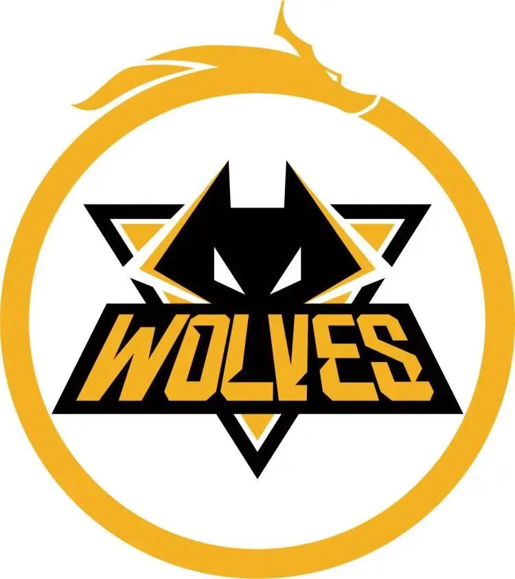 Spirit 成为第二支同时赢得 CS Major 和 DOTA2 TI 的战队